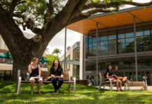 UH Mānoa探索循证教学和学生成果
