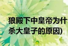 狼殿下中皇帝为什么杀大皇子(狼殿下中皇帝杀大皇子的原因)