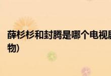 薛杉杉和封腾是哪个电视剧(薛杉杉和封腾是什么电视剧的人物)