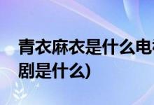 青衣麻衣是什么电视剧(出现青衣麻衣的电视剧是什么)