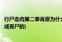 行尸走肉第二季肖恩为什么变成丧尸(形式走肉肖恩是怎么变成丧尸的)