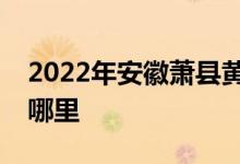 2022年安徽萧县黄口哆来咪贵族园的地址在哪里
