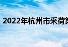 2022年杭州市采荷第二幼儿园的地址在哪里