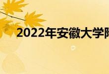 2022年安徽大学附属学校的地址在哪里