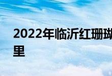 2022年临沂红珊瑚幼儿钢琴学校的地址在哪里