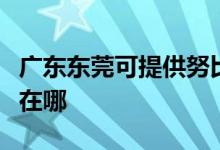 广东东莞可提供努比亚平板电视维修服务地址在哪