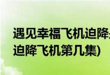 遇见幸福飞机迫降是哪一集(遇见幸福司问渠迫降飞机第几集)