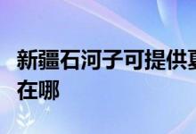 新疆石河子可提供夏新平板电视维修服务地址在哪