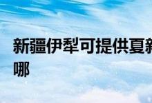 新疆伊犁可提供夏新平板电视维修服务地址在哪