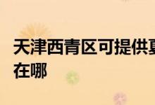 天津西青区可提供夏新平板电视维修服务地址在哪