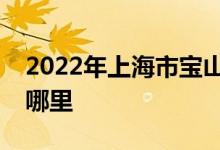 2022年上海市宝山区小红帽幼儿园的地址在哪里