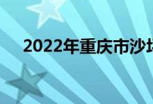 2022年重庆市沙坪坝小学的地址在哪里
