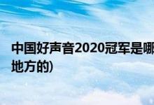 中国好声音2020冠军是哪里人(中国好声音2020冠军是哪个地方的)