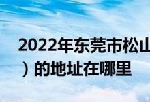 2022年东莞市松山湖南方外国语小学（南外）的地址在哪里