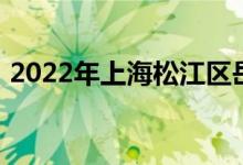 2022年上海松江区岳阳幼儿园的地址在哪里