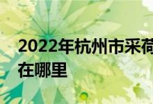 2022年杭州市采荷中学（濮家校区）的地址在哪里