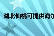 湖北仙桃可提供海尔空调维修服务地址在哪