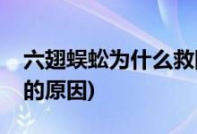 六翅蜈蚣为什么救陈玉楼(六翅蜈蚣救陈玉楼的原因)