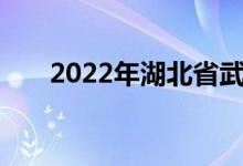 2022年湖北省武钢三中的地址在哪里