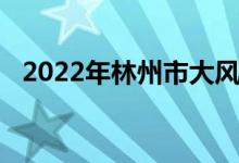 2022年林州市大风车幼儿园的地址在哪里