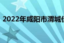 2022年咸阳市渭城佳禾幼儿园的地址在哪里