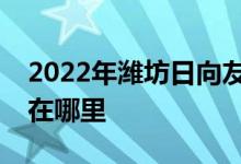 2022年潍坊日向友好学校（小学部）的地址在哪里