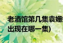 老酒馆第几集袁姗姗出现(老酒馆袁姗姗婉容出现在哪一集)