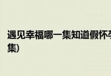 遇见幸福哪一集知道假怀孕(遇见幸福邵邵假怀孕被发现第几集)