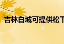 吉林白城可提供松下空调维修服务地址在哪