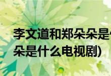 李文道和郑朵朵是什么电视剧(李文道和郑朵朵是什么电视剧)