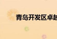 青岛开发区卓越幼儿园的地址在哪