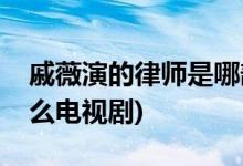 戚薇演的律师是哪部电视剧(戚薇演律师是什么电视剧)