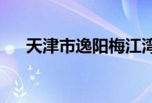 天津市逸阳梅江湾国际学校的地址在哪