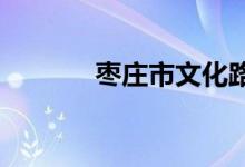 枣庄市文化路小学的地址在哪