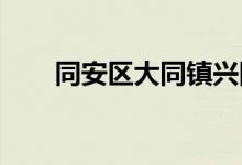 同安区大同镇兴国幼儿园的地址在哪