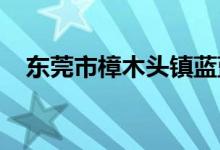 东莞市樟木头镇蓝蓝天幼儿园的地址在哪