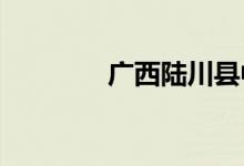 广西陆川县中学的地址在哪