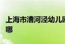 上海市漕河泾幼儿园（望德幼儿园）的地址在哪