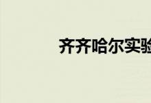 齐齐哈尔实验中学的地址在哪