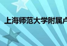 上海师范大学附属卢湾实验小学的地址在哪