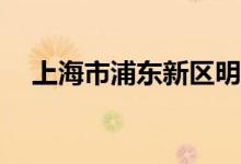 上海市浦东新区明珠小学A区的地址在哪