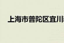 上海市普陀区宜川新村幼儿园的地址在哪