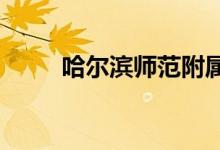 哈尔滨师范附属小学校的地址在哪