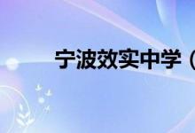 宁波效实中学（高中）的地址在哪