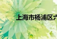 上海市杨浦区六一小学的地址在哪