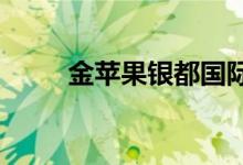金苹果银都国际幼稚园的地址在哪