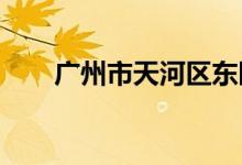 广州市天河区东圃幼儿园的地址在哪