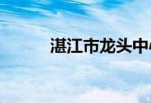 湛江市龙头中心小学的地址在哪