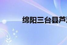 绵阳三台县芦溪中学的地址在哪