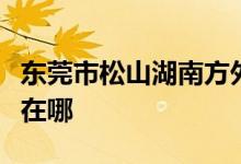 东莞市松山湖南方外国语小学（南外）的地址在哪